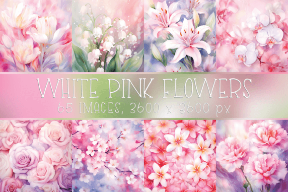 Elegant Watercolor White Pink Flower Backgrounds